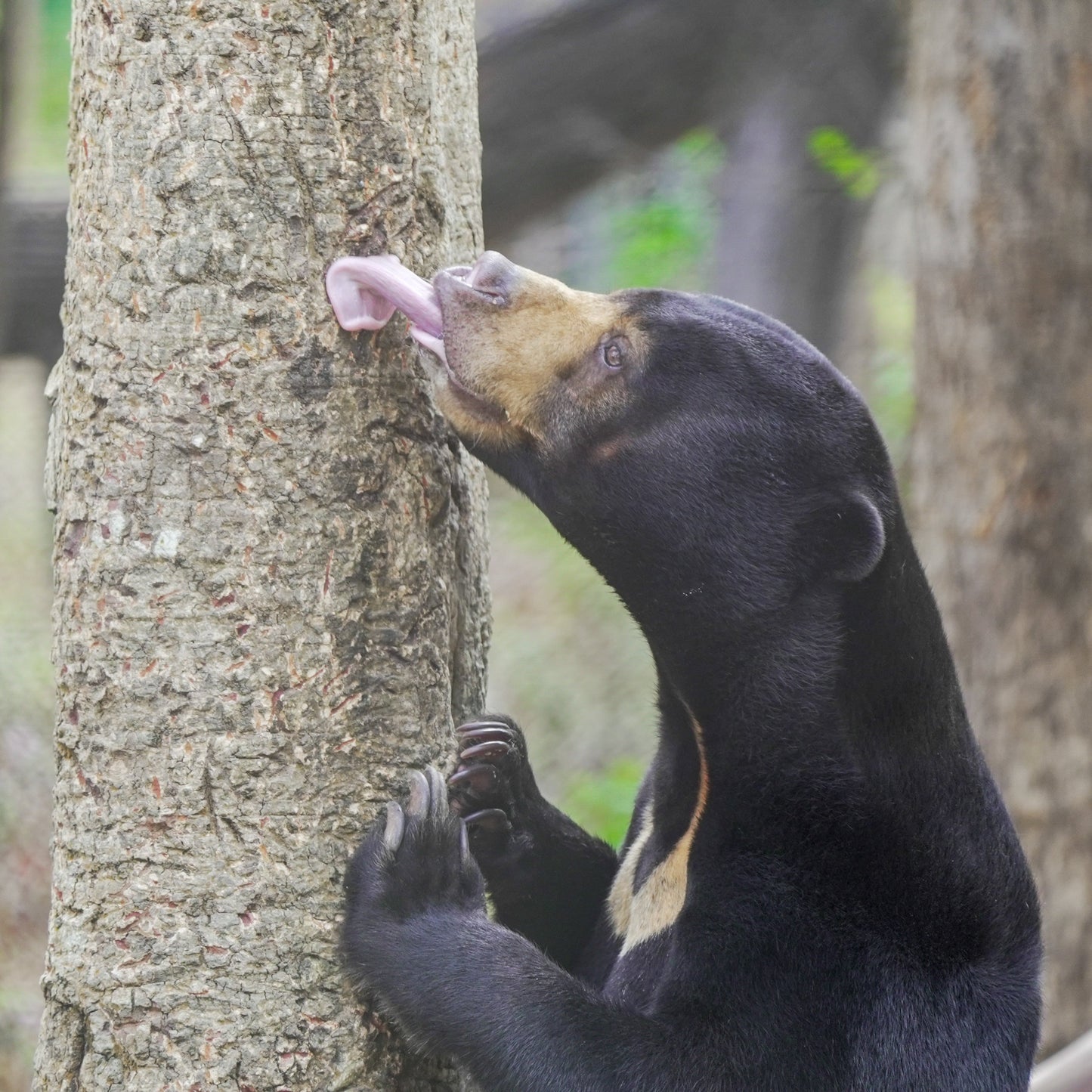 Pot of Honey donation