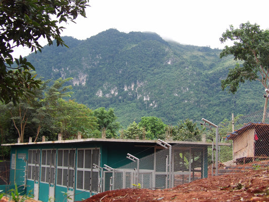 A new home for bears – and a new hub for research!