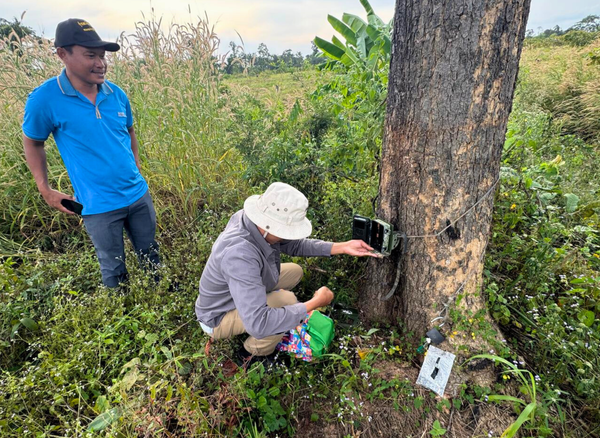 Notes from the field: investigating a wild bear sighting