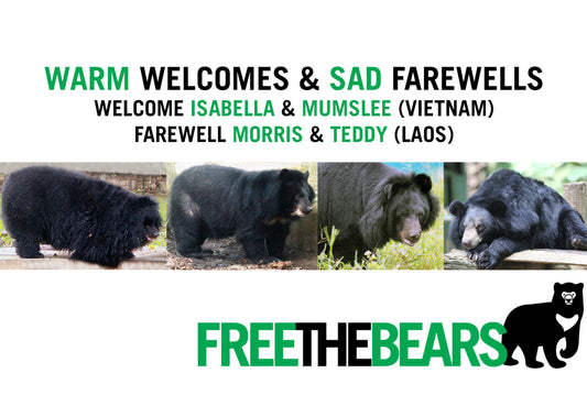 Feb 2021 Sanctuary Updates