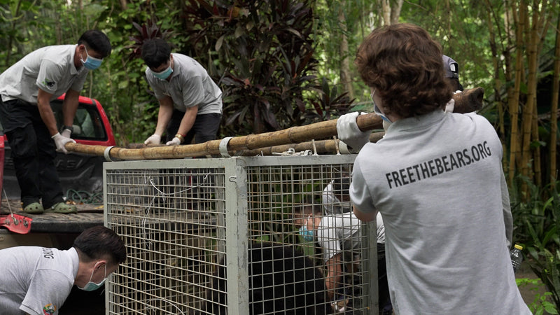 5 moon bears rescued!