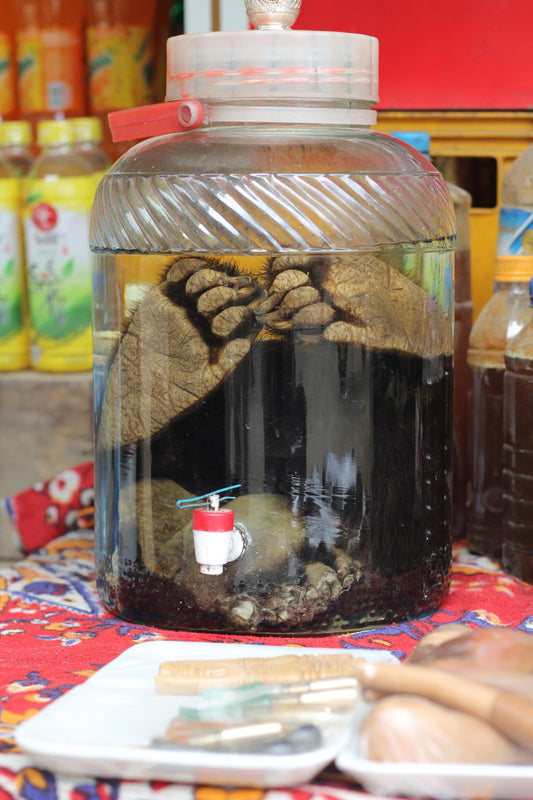 A Different Way to Study Illegal Wildlife Consumption