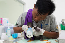 Load image into Gallery viewer, Cub Care Kit donation