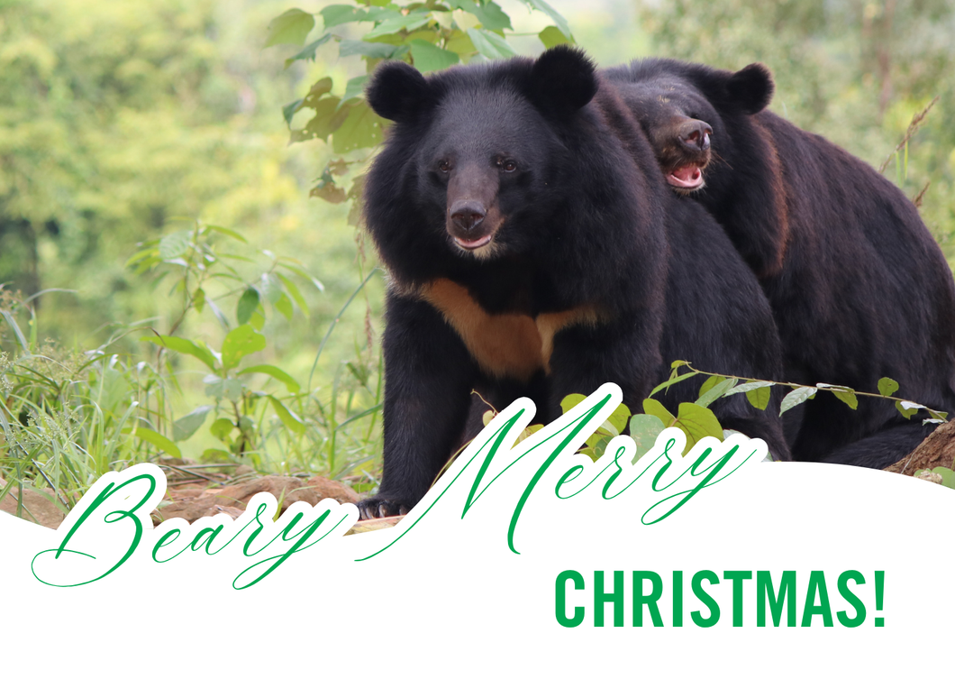 Beary Merry Christmas E-card (emailed to a loved one)