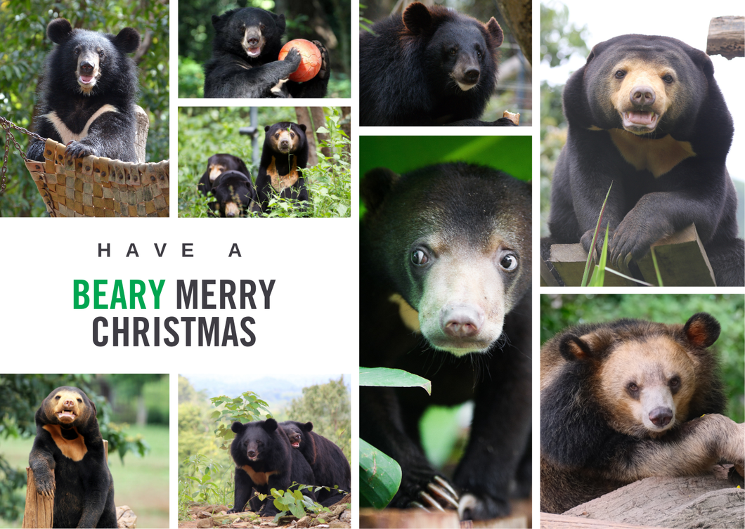 Merry Christmas E-card (emailed to a loved one)