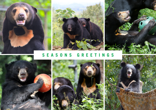 Seasons Greetings E-card (emailed to a loved one)