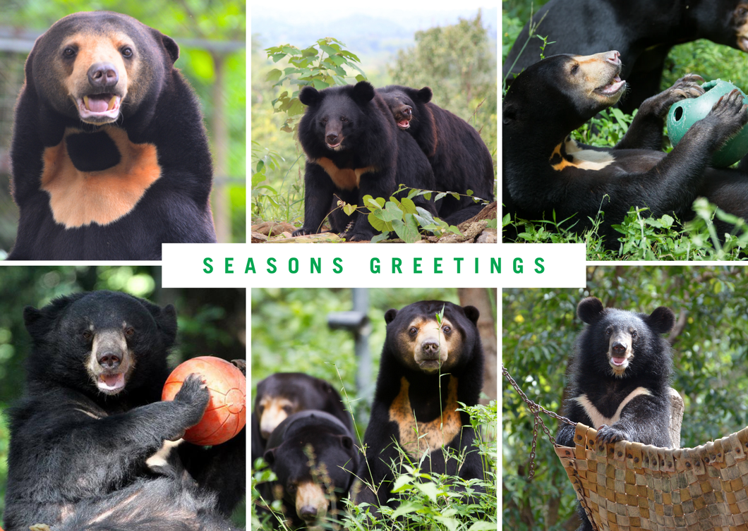 Seasons Greetings E-card (emailed to a loved one)