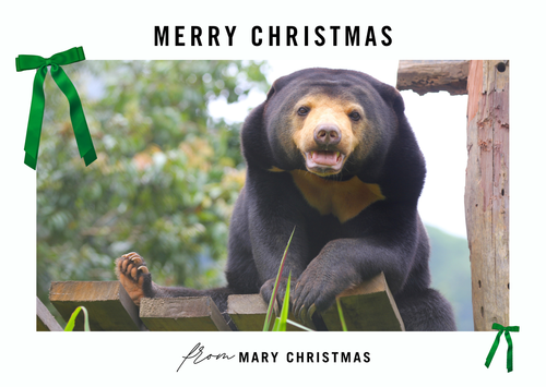 Mary Christmas E-card (emailed to a loved one)
