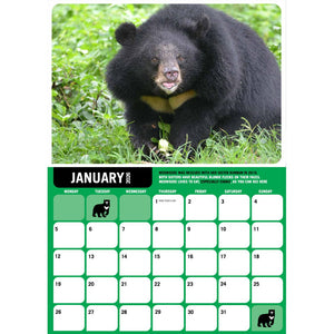 2026 Wall calendar