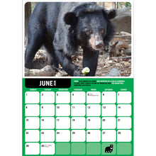 Load image into Gallery viewer, 2026 Wall calendar