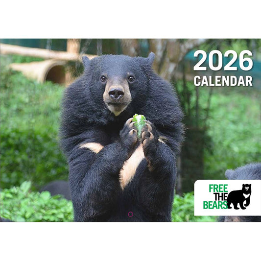 2026 Wall calendar