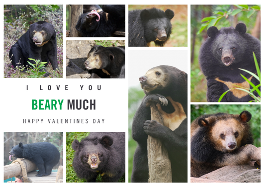 Happy Valentine's Day E-card