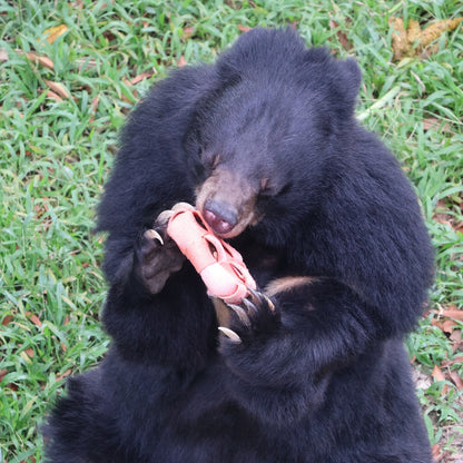 Enrichment mix donation