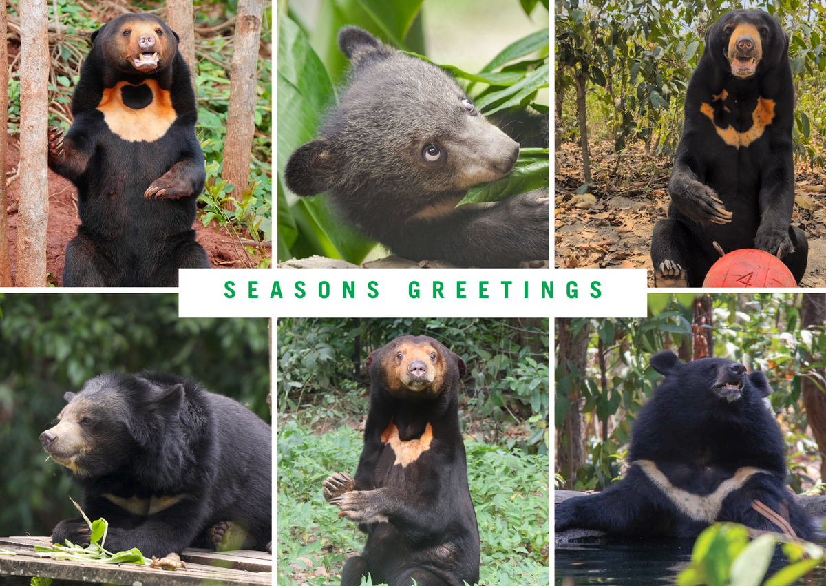 Seasons Greetings E-card