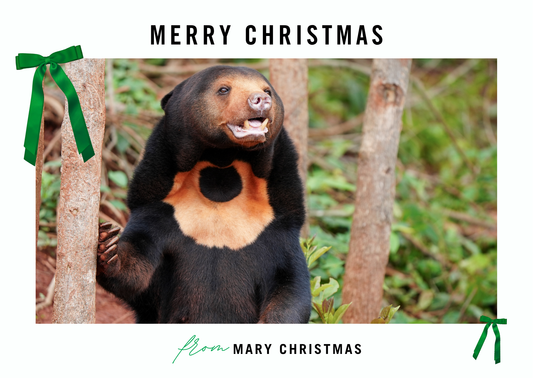 Mary Christmas E-card