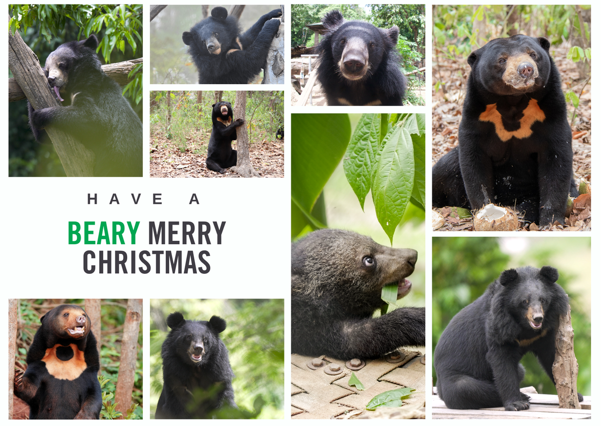 Merry Christmas E-card