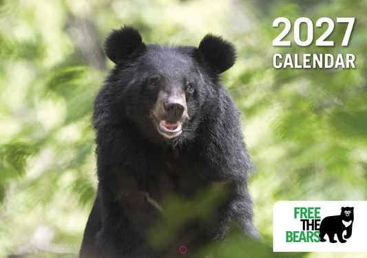 2027 Wall calendar