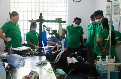 General Health Check donation