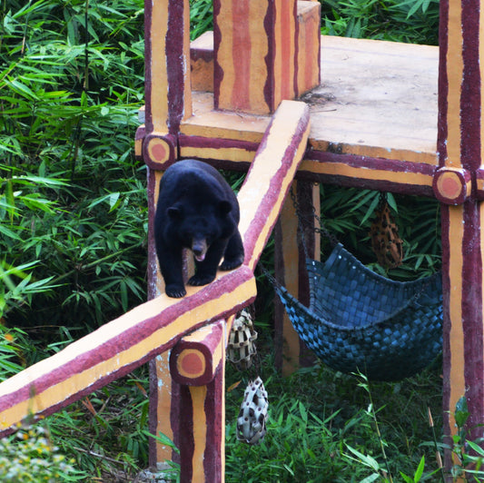 Climbing Tower donation