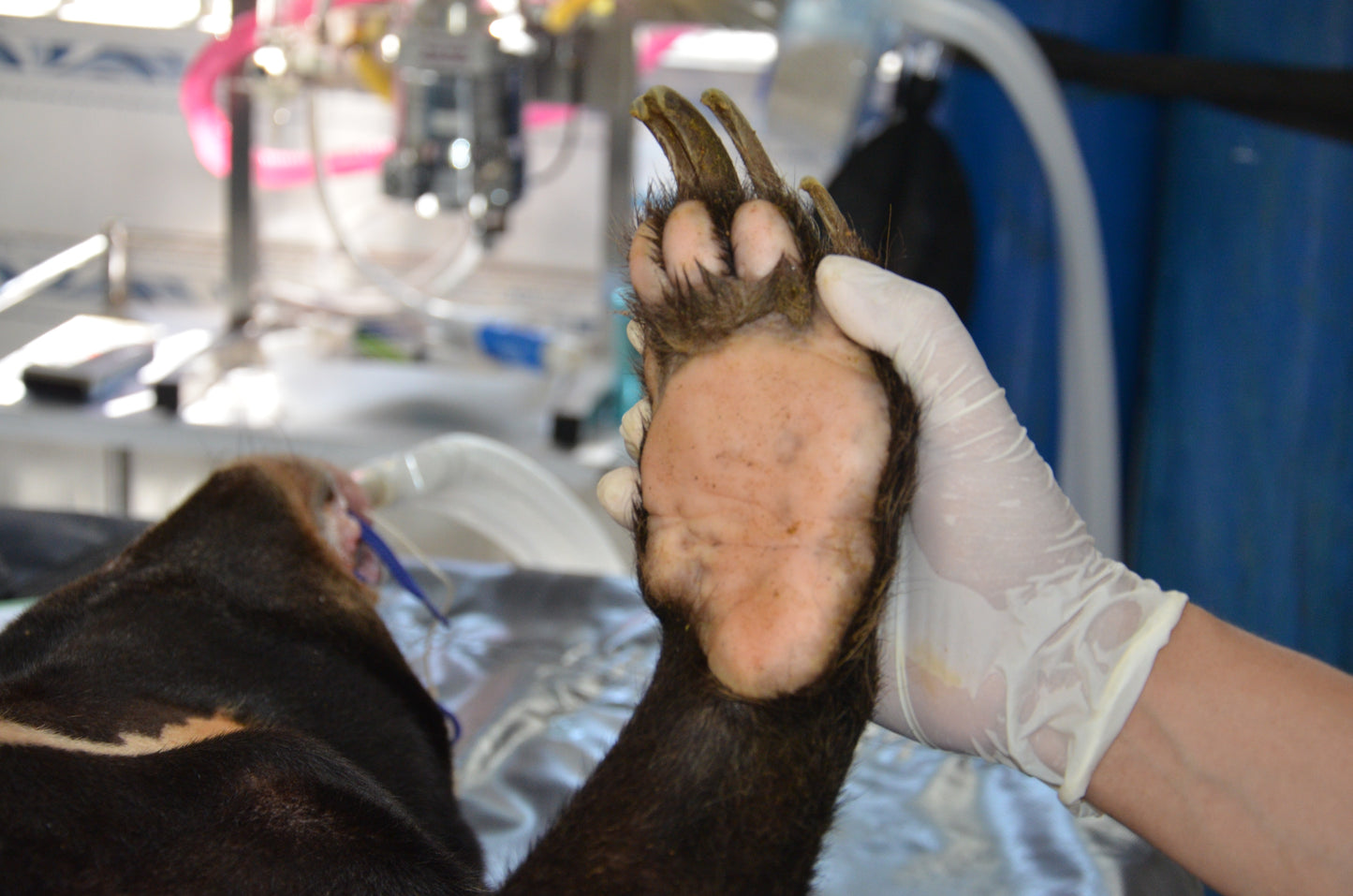 General Health Check donation