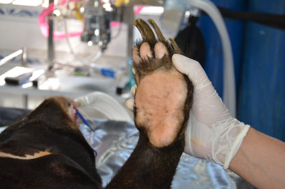 General Health Check donation