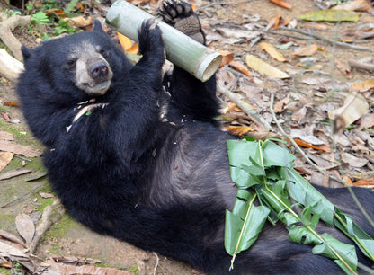 Enrichment mix donation