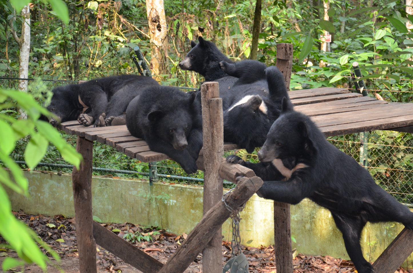 Climbing Tower donation