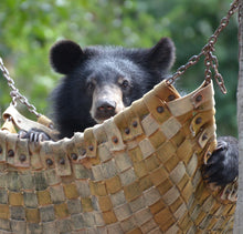 Load image into Gallery viewer, Bear Hammock donation