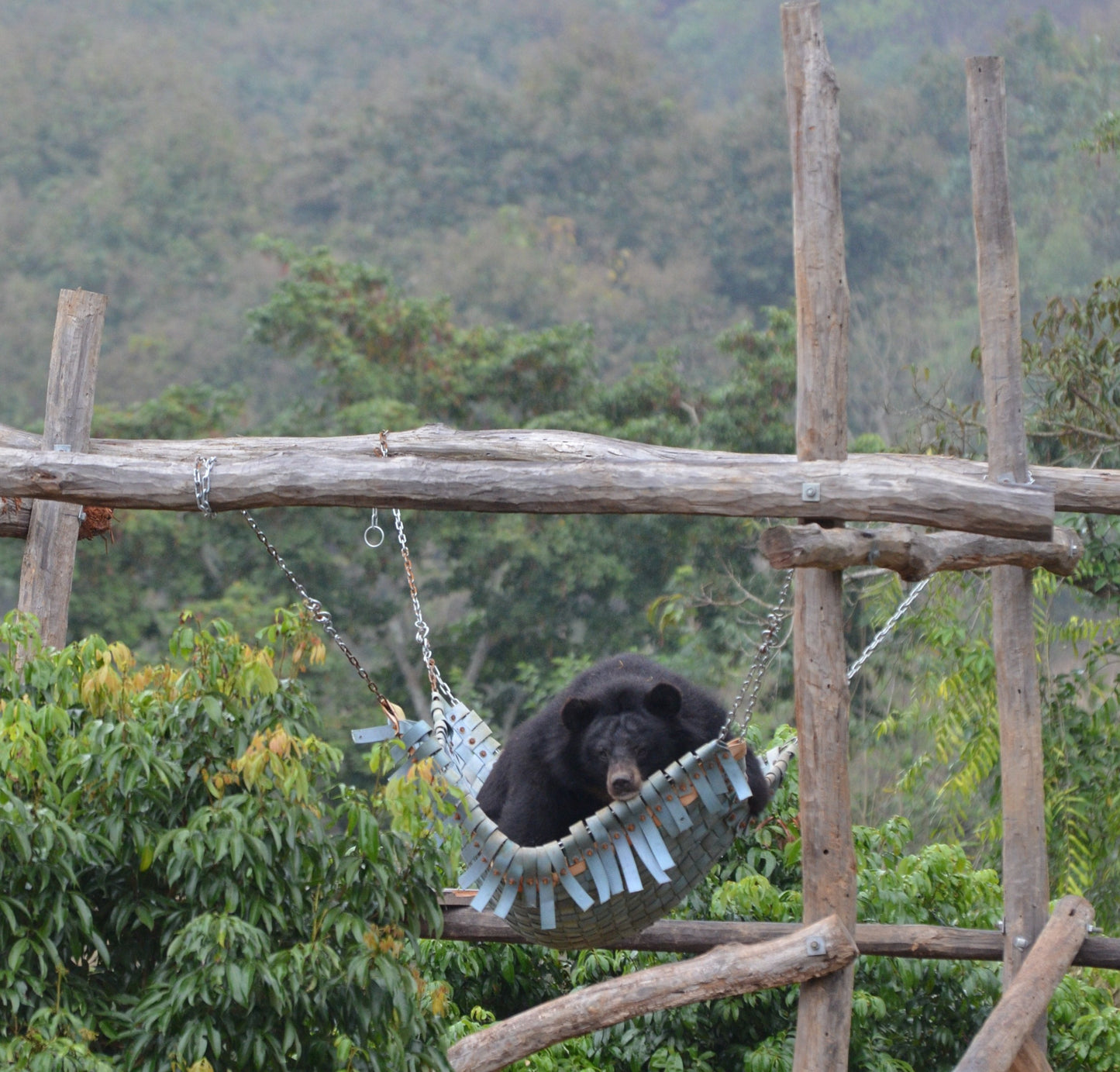 Climbing Tower donation