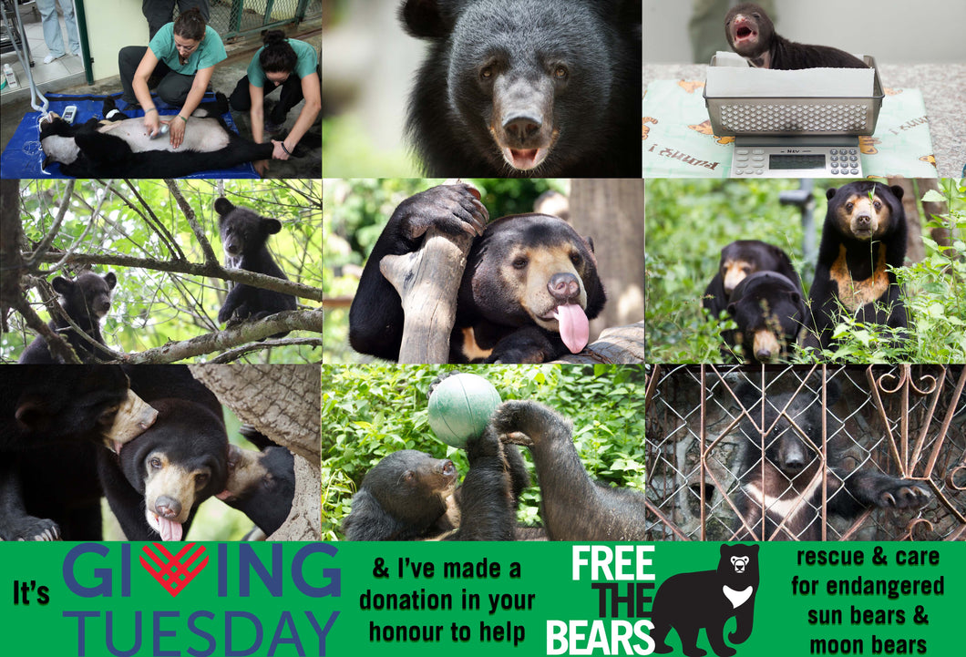 Giving Tuesday E-card (emailed to a loved one)