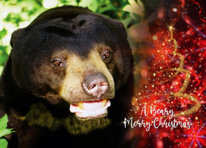 Beary Merry Christmas E-card (emailed to a loved one)
