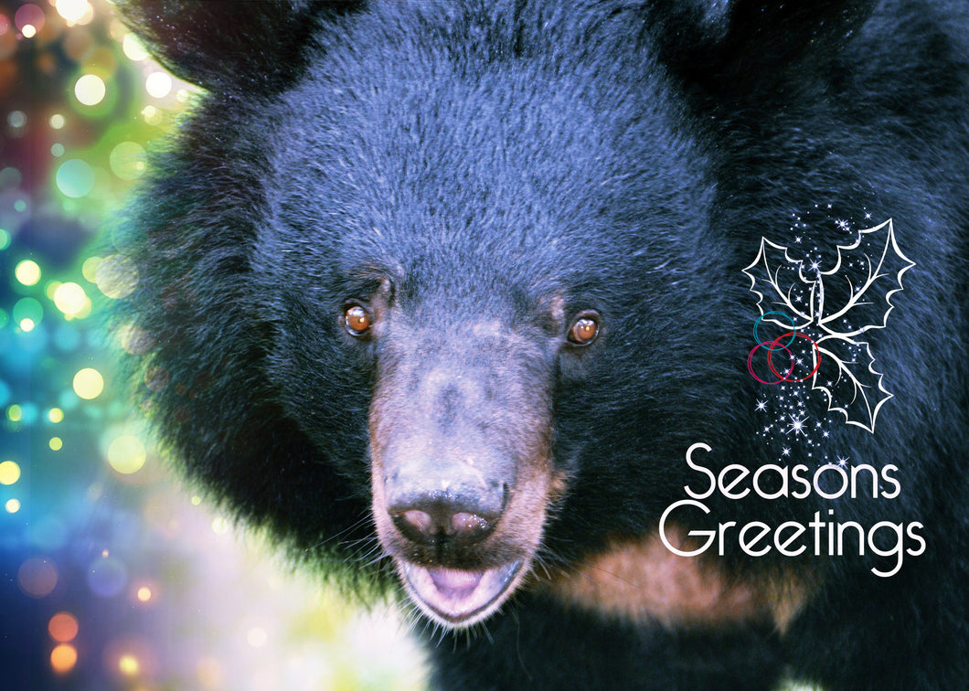 Seasons Greetings E-card (emailed to a loved one)