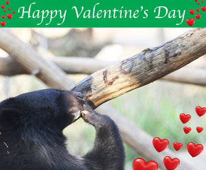 Happy Valentine's Day E-card (emailed to a loved one)