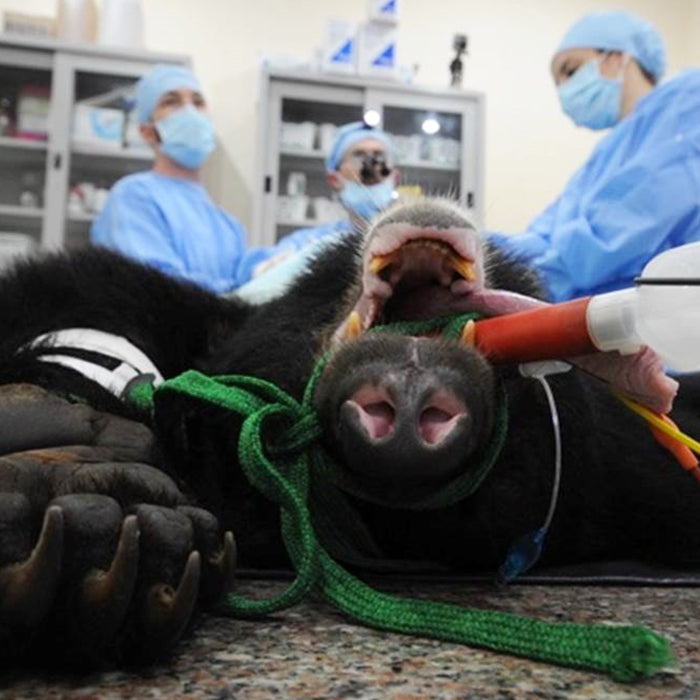 General Health Check donation