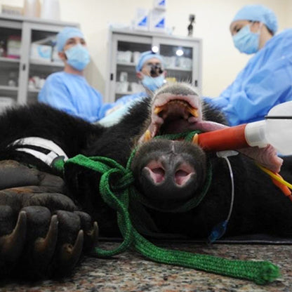 General Health Check donation